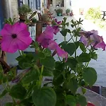 Cascina Giardini אלבה