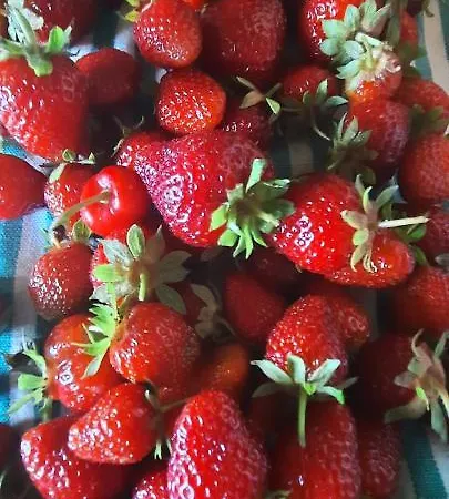 Cascina Giardini Alba (Piedmont)