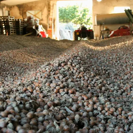 Cascina Giardini Alba