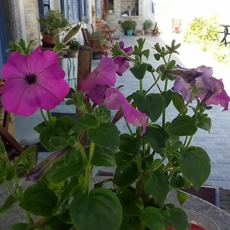 Cascina Giardini Alba (Piedmont)